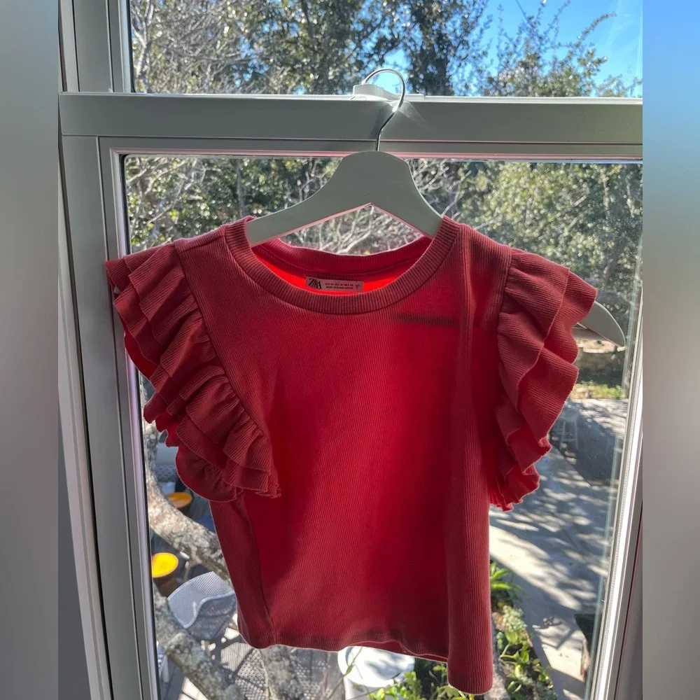 Zara Pink Ruffle Top - Picture 1 of 4